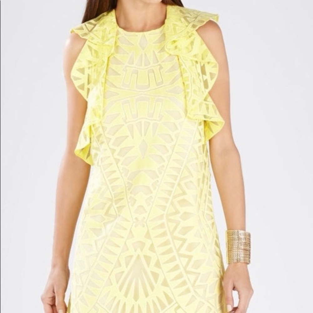 BCBGMAXAZRIA Jenni Ruffle-Shoulder dress Sz L